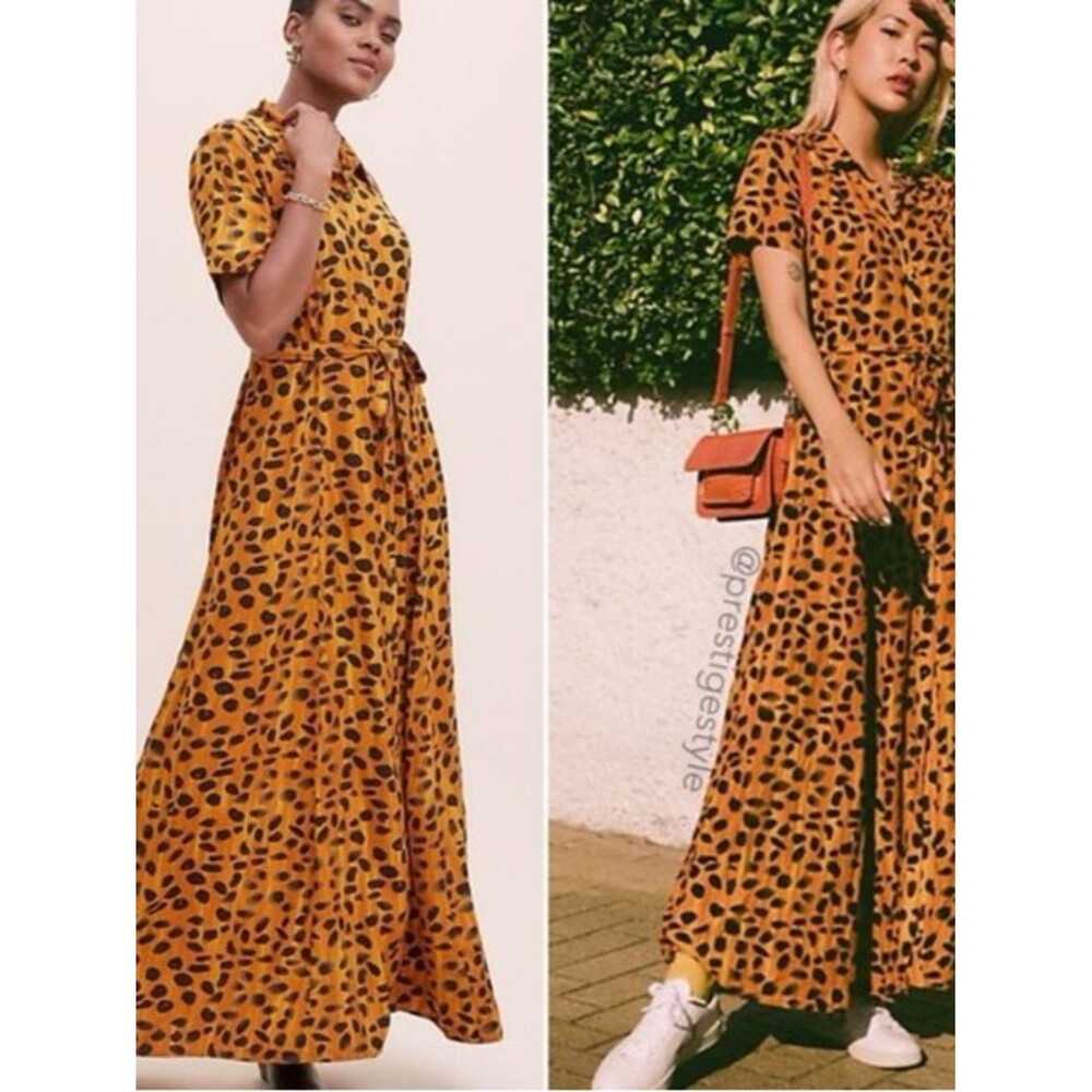 Anthropologie Porridge 4 Leopard Maxi Dress